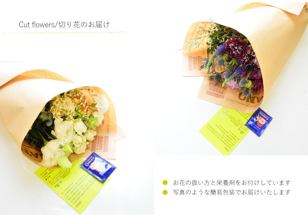 バレンタイン ホワイトデー 花 花束 切花 生花 自宅 送料無料 イマデキ おうち時間 うちで過ごそう お正月 おまかせ フラワー 上質な暮らし リビング オシャレ かわいい カットフラワー 切り花 おしゃれ 自然 土日発送格安通販　バレンタイン　人気　ランキング