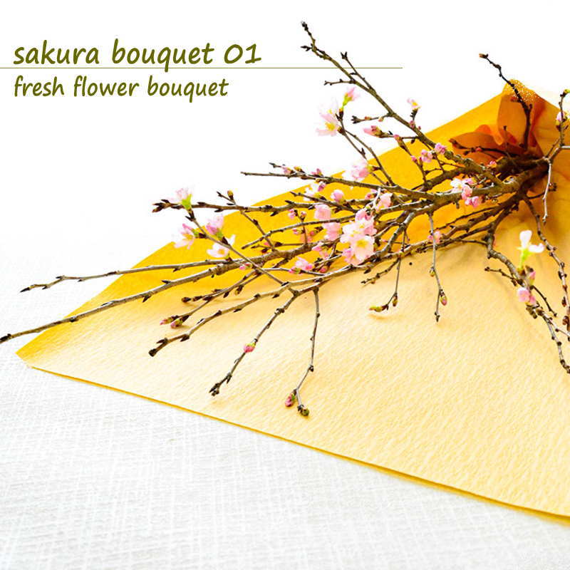 春 お彼岸 桜 誕生日 花 生花 花束 フラワーブーケ フラワーギフト 長寿 プレゼント 女性 男性 メッセージOK お祝い 御祝 記念日 展示会 発表会 お見舞い 楽屋花 退職祝い お供え 紫 ブルー 土日発送 b Ag 宅配のサムネイル