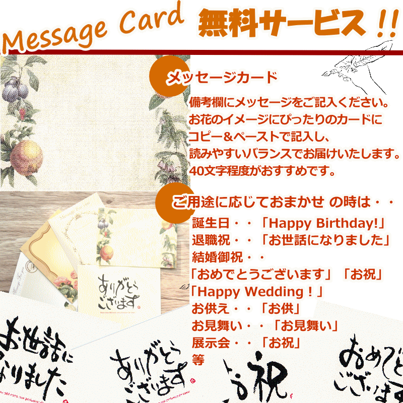 楽天市場 誕生日 花 フラワーアレンジメント ギフト あす楽 送料無料 お礼 お祝い メッセージ 色が選べる おまかせ アレンジメント 記念日 お見舞い 楽屋花 退職 プレゼント フラワーギフト おしゃれ かわいい 可愛い ご自宅用 感謝 お供え A Ng ブーケ 花とギフトの店 Arne