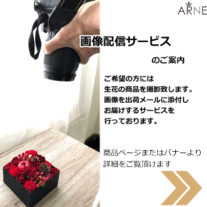 女性 紫のフラワーアレンジメント 安心して選べるお花 発表会 男性 女性へ 発表会 花 観葉植物 記念日 メッセージ コンパクト 御祝 お誕生日 フラワーアレンジメント アレンジメント お祝い 長寿 お見舞い 花 お花が好きな年上の方にも喜ばれます 記念日 ギフト送料無料 女性 紫のフラワーアレンジメント 安心して選べるお花 発表会 男性 女性へ 発表会 花 観葉植物 記念日 メッセージ コンパクト 御祝 お誕生日 フラワーアレンジメント アレンジメント お祝い 長寿 お見舞い 花 お花が好きな年上の方にも喜ばれます 記念日 ギフト送料無料
