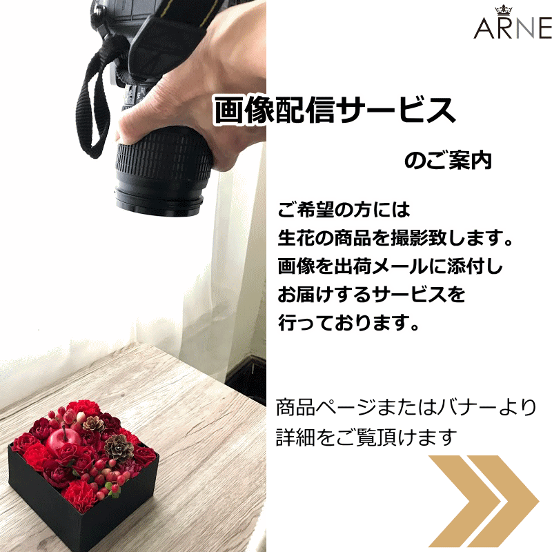 女性 紫のフラワーアレンジメント 安心して選べるお花 発表会 男性 女性へ 発表会 花 観葉植物 記念日 メッセージ コンパクト 御祝 お誕生日 フラワーアレンジメント アレンジメント お祝い 長寿 お見舞い 花 お花が好きな年上の方にも喜ばれます 記念日 ギフト送料無料