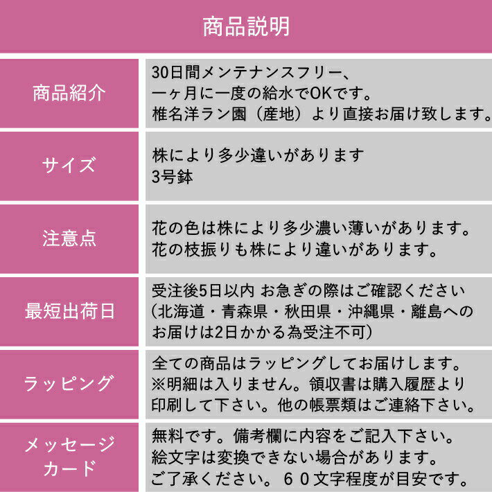 約30日間メンテナンスフリー 最新アイテム 花言葉 幸福が飛んでくる 健康とハッピー願う気持ちを贈るミディ胡蝶蘭 お礼 父の日のプレゼントに リラックス 父の日 ご挨拶 誕生日 花 鉢花 蘭 ラン 胡蝶蘭 ミディ胡蝶蘭 2f 2本立ち 産地直送 出産祝い ギフト 結婚祝い 新築 約30日間メンテナンスフリー 最新アイテム 花言葉 幸福が飛んでくる 健康とハッピー願う気持ちを贈るミディ胡蝶蘭 お礼 父の日のプレゼントに リラックス 父の日 ご挨拶 誕生日 花 鉢花 蘭 ラン 胡蝶蘭 ミディ胡蝶蘭 2f 2本立ち 産地直送 出産祝い ギフト 結婚祝い 新築