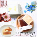 お盆 和菓子 わらび餅 京都伝統の味 美味しい ギフト 文の助茶屋 お菓子 スイーツ ほんの気持ち お花と一緒に