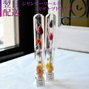 敬老の日 花 プリザーブドフラワー プレゼント ガラスシリンダー 誕生日 プリザーブド プレゼント おしゃれ p お花 指定日 お届け 最強配送 宅配