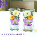 お供え花 花 ドライフラワー お供え ガラス グラスフラワー フラワーアレンジメント フラワーギフト ギフト お供 命日 月命日 法事 ご自宅用 お悔み ご仏前...