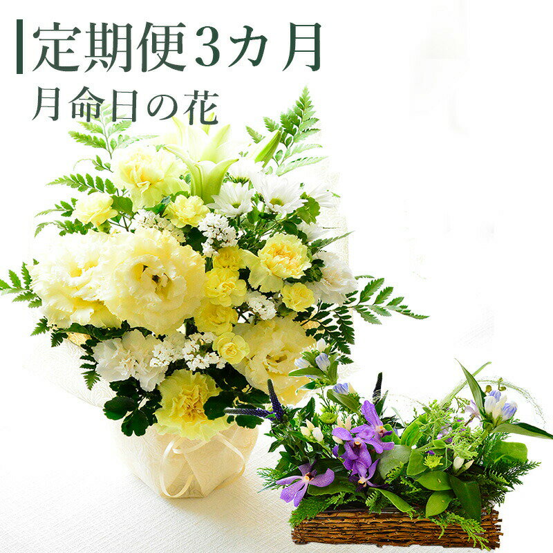 お盆 お彼岸 【定期便3カ月】 お供え 命日 月命日 花 定期便 12カ月 フラワーアレンジメント アレンジメント 花束 切花 生花 ギフト お供 送料無料 自宅用 プレゼント フラワーギフト お供え花 写真の横に飾る 毎月届く 3カ月 定期 ANGのサムネイル