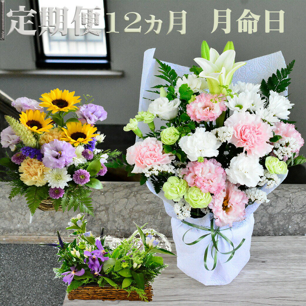 【定期便12カ月】 お供え花 命日 月命日 花 生花 定期便 12カ月 フラワーアレンジメント アレンジメント 花束 切り花 お供え 生花 ギフト お供 送料無料 自宅用 プレゼント フラワーギフト ギ…