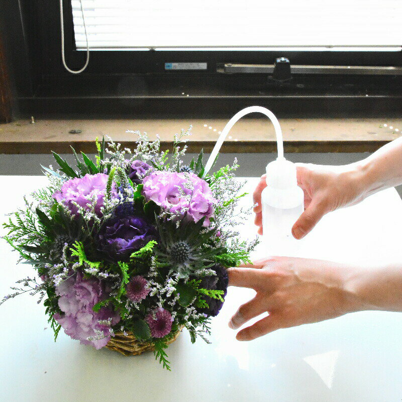 �ե�����󥸥��Ȥ�ܥå�������󥸤ο���˺�Ŭ�� �Υ��� ���� ��� ����ѥ��� t ���� ����