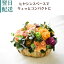 花 フラワーアレンジメント 生花 誕生日 花束 フラワーギフト お祝い アレンジ ギフト お礼 日頃の感謝..