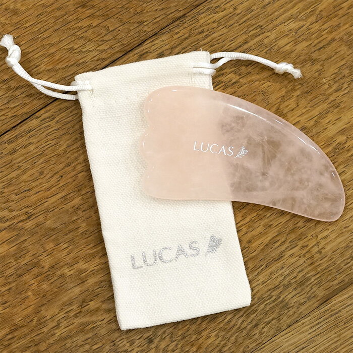 륫  åץ졼 ݡդ  LUCAS ޥå ĥܻɷ  ե ܥǥ ե