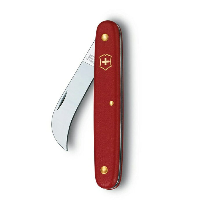 �ӥ��ȥ�Υå��� �ե����ꥹ�ȥʥ��� ������ �� �ʿ� ���ƥ�쥹 �����ǥ˥� �ե�����󥸥��� �� ���� �ե����ꥹ�ȥ��å��� �ʰץѥå����� ���Ʋ �������� �᡼����