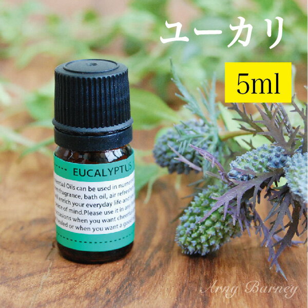 【 ユーカリ 5ml 】MORE モア エッセンシャルオイル アロマオイル 精油 アロマ エッセンシャルオイルアーニーバーニ…