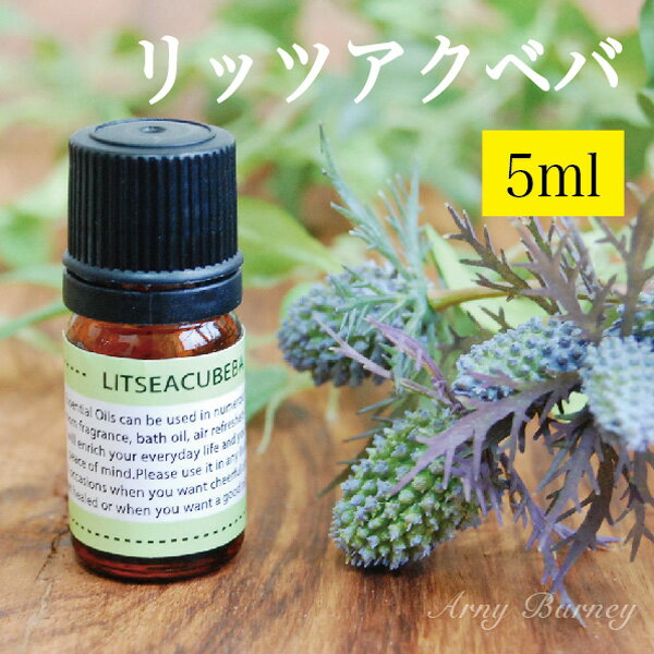 【 リッツアクベバ / リツェアクベバ 5ml 】MORE モア エッセンシャルオイル アロマオイル 精油 アロマ エッセンシャ…