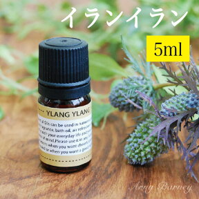 【 イランイラン 5ml 】MORE モア エッセンシャルオイル アロマオイル 精油 アロマ エッセンシャルオイルアーニーバーニー/フリート/【RCP】【メール便対応】