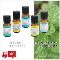 仕事に勉強に！集中アロマ5本セット【10ml】 アロマオイル/精油/アロマテラピーセット/初心者/エッセンシャルオイル/フリート/アーニーバーニー/お試し【RCP】