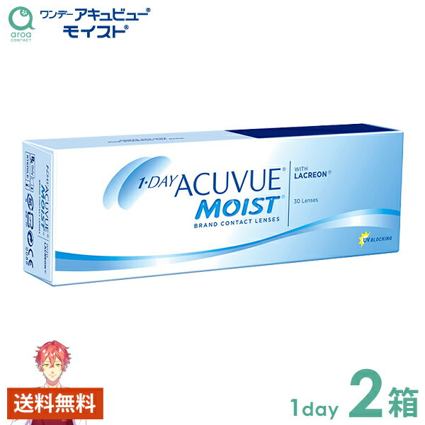 ワンデーアキュビューモイスト ワンデー 30枚×2箱 J&J 使い捨て 送料無料