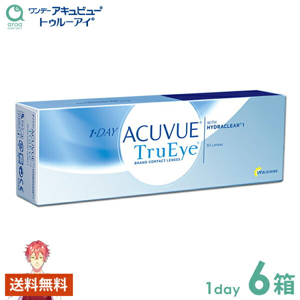 ワンデーアキュビュートゥルーアイ ワンデー 30枚×6箱 ジョンソンエンドジョンソン J&J 使い捨て 送料無料