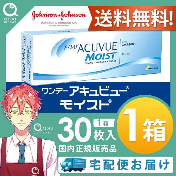ワンデーアキュビューモイスト ワンデー 30枚×1箱 J&J 使い捨て 送料無料
