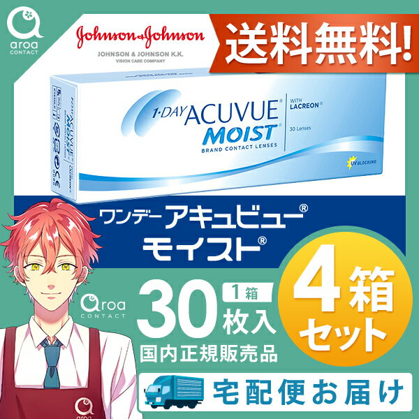 ワンデーアキュビューモイスト ワンデー 30枚×4箱 J&J 使い捨て 送料無料