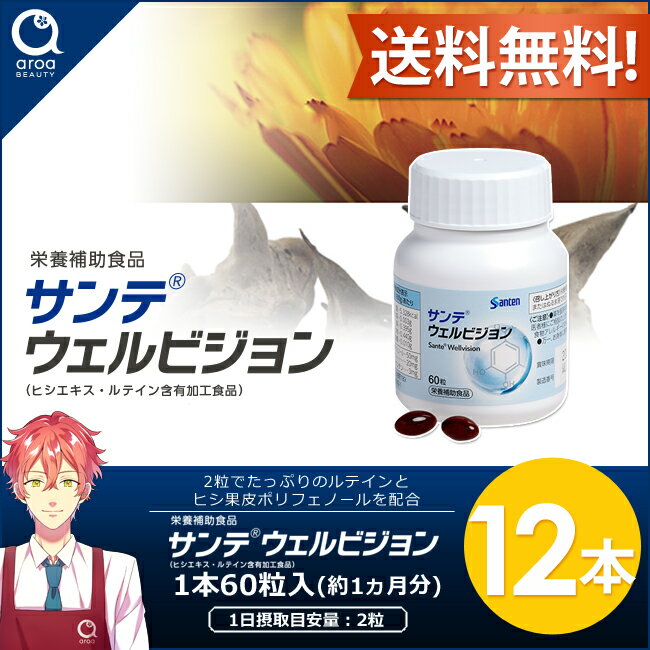 サンテウェルビジョン【参天製薬】60粒入り12本(1日2粒/360日分)送料無料 2