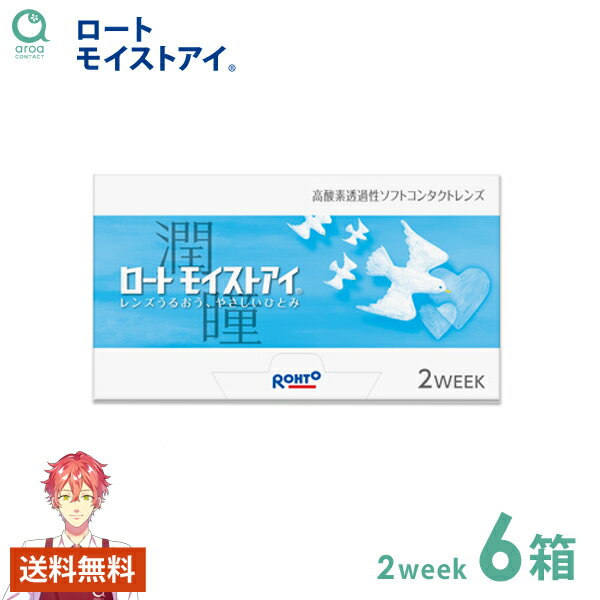 モイストアイ 2ウィーク 6枚×6箱 ロート ROHTO 使い捨て 送料無料