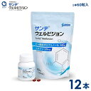 サンテウェルビジョン【参天製薬】60粒入り12本(1日2粒/360日分)送料無料