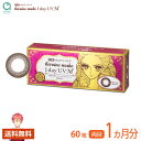 ヒロインメイクワンデーUV M ワンデー 60枚 1ヶ月分シード SEED 使い捨て 送料無料(4)