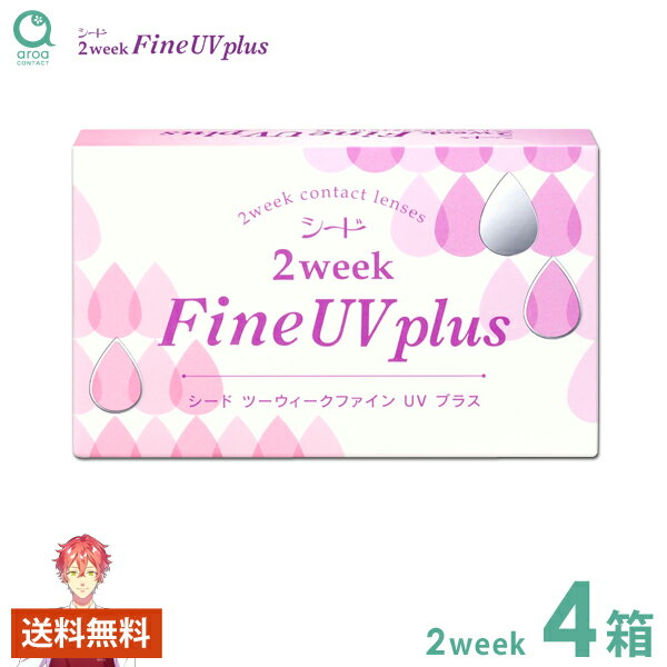2ウィークファインUVプラス 2ウィーク 6枚×4箱 シード SEED 使い捨て 送料無料