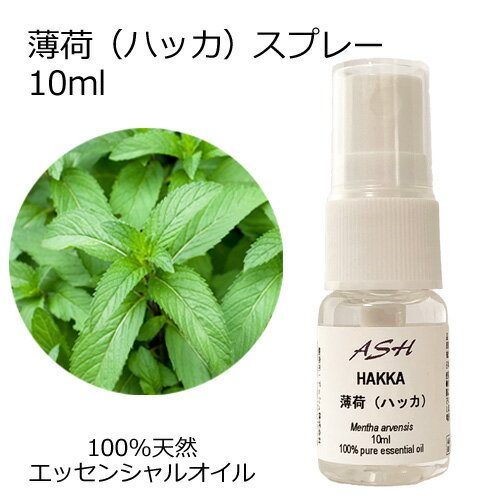 ハッカ油スプレー 10ml エッセンシャルオイル アロマオイル 精油 アロマ 和種薄荷 和ハッカ ハッカ油のサムネイル