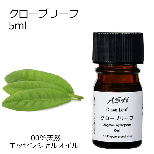 クローブリーフ 5ml 【エッセンシャルオイル アロマオイル 精油 スパイス系】【AEAJ表示基準適合認定精油】