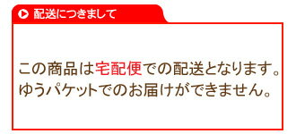 セサミオイル 1000ml（1リットル 1L）【キャリアオイル ベースオイル 業務用 SESAMI OIL】【RCP】