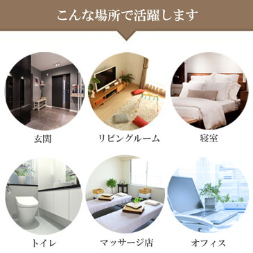 リードディフューザー用 スティックリフィル 竹製 10本入り 長さ 21cm