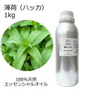 薄荷 ハッカ 和種薄荷 和ハッカ ハッカ油 大容量 1kg 業務用 エッセンシャルオイル アロマオイル 精油 アロマ 100％天然 AEAJ表示基準適合認定精油 領収書対応 インボイス対応 安全データシートMSDS発行可 サンプル対応