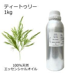 https://thumbnail.image.rakuten.co.jp/@0_mall/aroma-ash/cabinet/09935771/09971026/imgrc0102890484.jpg