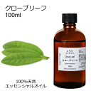 クローブリーフ 100ml アロマオイル エッセンシャルオイル 精油 天然100% 植物由来 高品質 AEAJ認定 スパイス系 丁子 丁香 アロママッサージ ア...