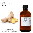 ジンジャー 100ml アロマオイル エッセンシャルオイル 精油 天然100% 植物由来 高品質 AEAJ認定 生姜 ショウガ スパイス系 香り アロマテラピー...
