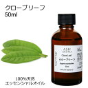 クローブリーフ 50ml アロマオイル エッセンシャルオイル 精油 天然100% 植物由来 高品質 AEAJ認定 スパイス系 丁子 丁香 アロママッサージ アロ...