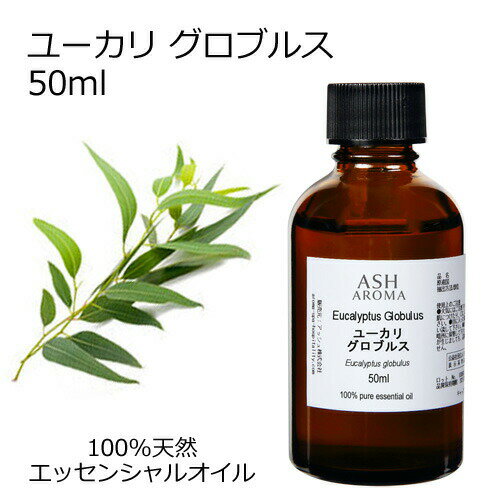 【在庫処分】 ユーカリ グロブルス 50ml エッセンシャルオイル アロマオイル 精油 アロマ 母の日 品質保持期限2025年4月30日