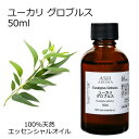【楽天スーパーSALE 10%OFF】 ユーカリ グロブルス 50ml アロマオイル エッセンシャルオイル 精油 天然100% 植物由来 高品質 AEAJ認定 ...