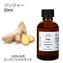 ジンジャー 50ml エッセンシャルオイル アロマオイル 精油 アロマ