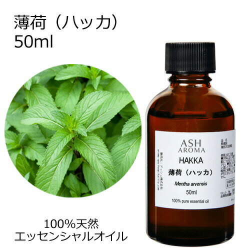 薄荷 ハッカ 50ml エッセンシャルオイル アロマオイル 精油 アロマ 和種薄荷 和ハッカ ハッカ油