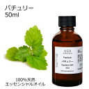 【最大500円OFFクーポンあり!5/23(金)20時〜】 パチュリー 50ml アロマオイル エッセンシャルオイル 精油 天然100% 植物由来 高品質 AEAJ認定 パチョリ パチュリ エキゾチック系 香り アロマテラピー アロママッサージ アロマバス 芳香浴 業務用 ASH AROMA(4)