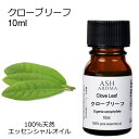 クローブリーフ 10ml アロマオイル エッセンシャルオイル 精油 天然100% 植物由来 高品質 AEAJ認定 スパイス系 香り 丁子 丁香 アロママッサージ...
