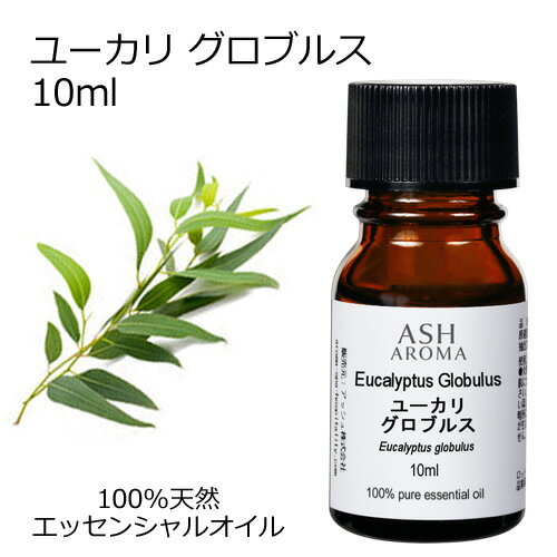 ユーカリ グロブルス 10ml エッセンシャルオイル アロマオイル 精油 アロマ ブルーガム