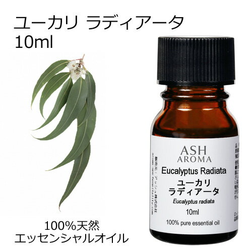 ユーカリラディアータ 10ml エッセン