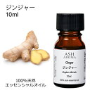 ジンジャー 10ml アロマオイル エッセンシャルオイル 精油 天然100% 植物由来 高品質 AEAJ認定 生姜 ショウガ スパイス系 香り アロマテラピー ...