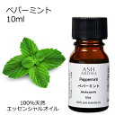 ペパーミント 10ml アロマオイル エッセンシャルオイル 精油 天然100% 植物由来 高品質 AEAJ認定 西洋ハッカ ハーブ系 香り アロマテラピー アロ...
