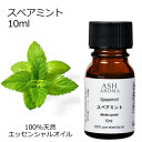 スペアミント 10ml アロマオイル エッセンシャルオイル 精油 天然100% 植物由来 高品質 AEAJ認定 ミドリハッカ ハーブ系 香り アロマテラピー ア...