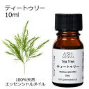 ティートゥリー 10ml アロマオイル エッセンシャルオイル 精油 天然100% 植物由来 高品質 AEAJ認定 ティートリー ティーツリー ウッド系 樹木系 ...