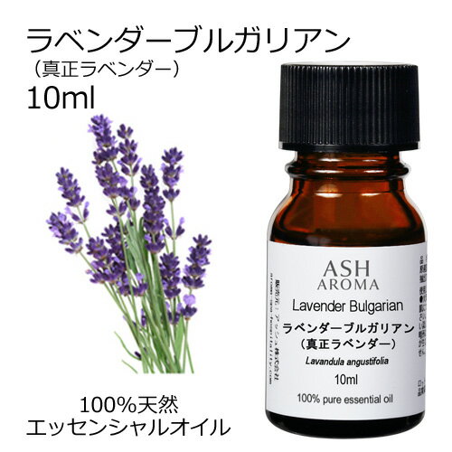 ラベンダー ブルガリアン 真正ラベンダー 10ml エッセンシャルオイル アロマオイル 精油 アロマ